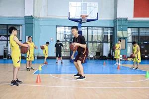 如何找到专业的篮球对抗训练教练:全面指南与策略分析